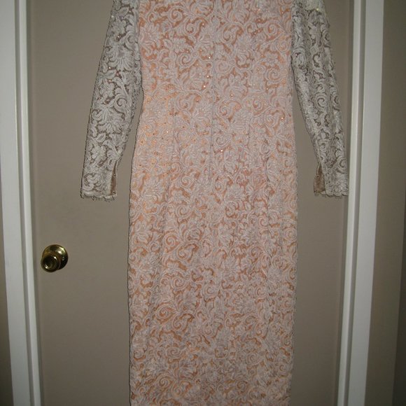 Michael Casey Ivory/Blush Alencon Lace Column Sheath Gown Long Dress Bridal Sz 6 - Picture 2 of 16